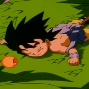 Meet your Posher, Lance